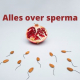 Alles over sperma